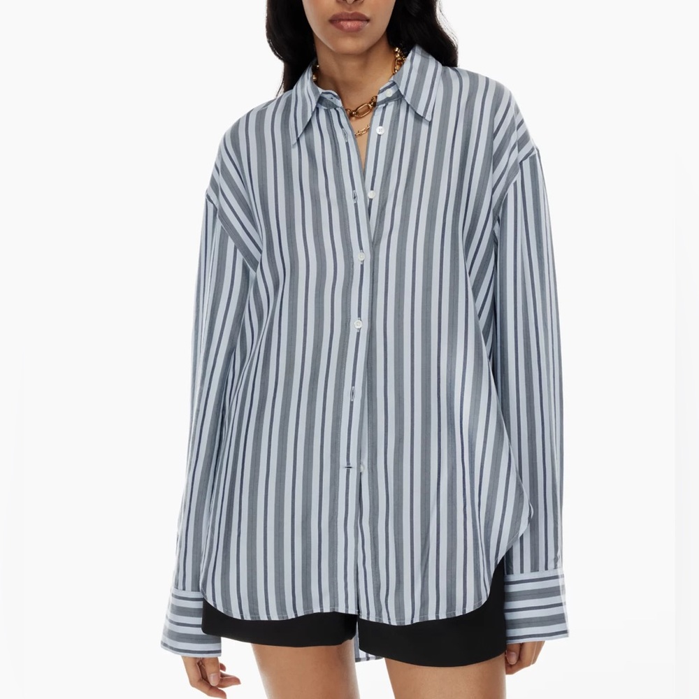 Aritzia Babaton Essential Relaxed Striped Shirt